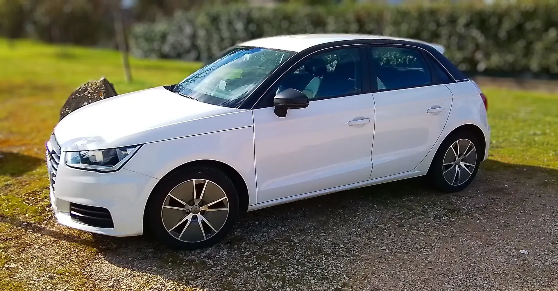 Audi A1 A1 Sportback 1.0 TFSI 82 Blanc - 2