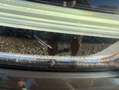 Volvo XC60 B5 Momentum Pro AWD Aut. Marrón - thumbnail 24