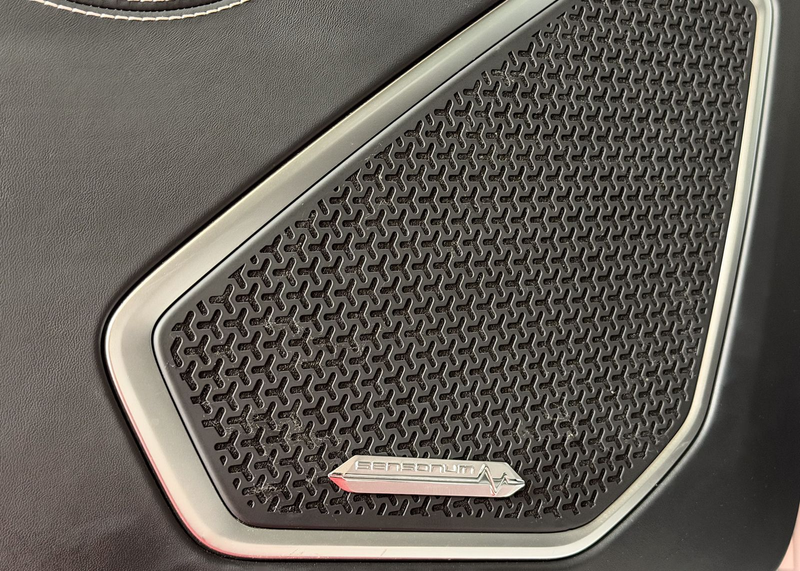 Lamborghini Urus S ACC ANIMA HU PANO SOFTCLOSE 1.HAND MWST — photo 19