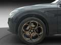 Alfa Romeo Stelvio STELVIO 280PS Q4 INTENSA AHK TECHNO FACELIFT Noir - thumbnail 14