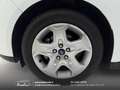 Ford C-Max 1.6 tdci Plus 95cv Cinghia/Tagliando/Bollo OK Bianco - thumbnail 5