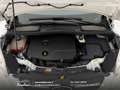 Ford C-Max 1.6 tdci Plus 95cv Cinghia/Tagliando/Bollo OK Bianco - thumbnail 26