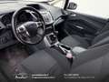 Ford C-Max 1.6 tdci Plus 95cv Cinghia/Tagliando/Bollo OK Bianco - thumbnail 7