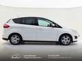 Ford C-Max 1.6 tdci Plus 95cv Cinghia/Tagliando/Bollo OK Bianco - thumbnail 17