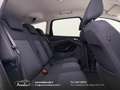 Ford C-Max 1.6 tdci Plus 95cv Cinghia/Tagliando/Bollo OK Bianco - thumbnail 24