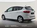 Ford C-Max 1.6 tdci Plus 95cv Cinghia/Tagliando/Bollo OK Bianco - thumbnail 19