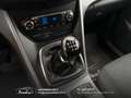 Ford C-Max 1.6 tdci Plus 95cv Cinghia/Tagliando/Bollo OK Bianco - thumbnail 23