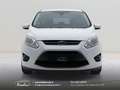Ford C-Max 1.6 tdci Plus 95cv Cinghia/Tagliando/Bollo OK Bianco - thumbnail 2
