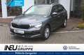 Skoda Kamiq Selection 1.0 TSI DSG ACC RFK S-Lhzg. LED Grau - thumbnail 1