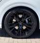 Audi Q7 *QUATTRO*S-LINE*ACC*7-SITZ*OLED*MATRIX*360*22" Weiß - thumbnail 5