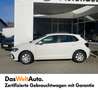 Volkswagen Polo Blanco - thumbnail 2