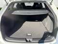 Volkswagen Golf Variant VIII 1.5 eTSI DSG R-Line Sportpaket Navi Digitales Blanco - thumbnail 15