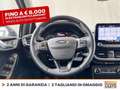 Ford Fiesta 5p 1.0 ecoboost business s&s 100cv Zwart - thumbnail 13
