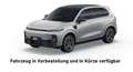Leapmotor B10 B10 67,1kWh Design Pro Max Grau - thumbnail 1