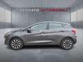 Ford Fiesta Fiesta 5p 1.1 Titanium 75cv Grijs - thumbnail 2
