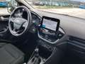 Ford Fiesta Fiesta 5p 1.1 Titanium 75cv Grijs - thumbnail 7