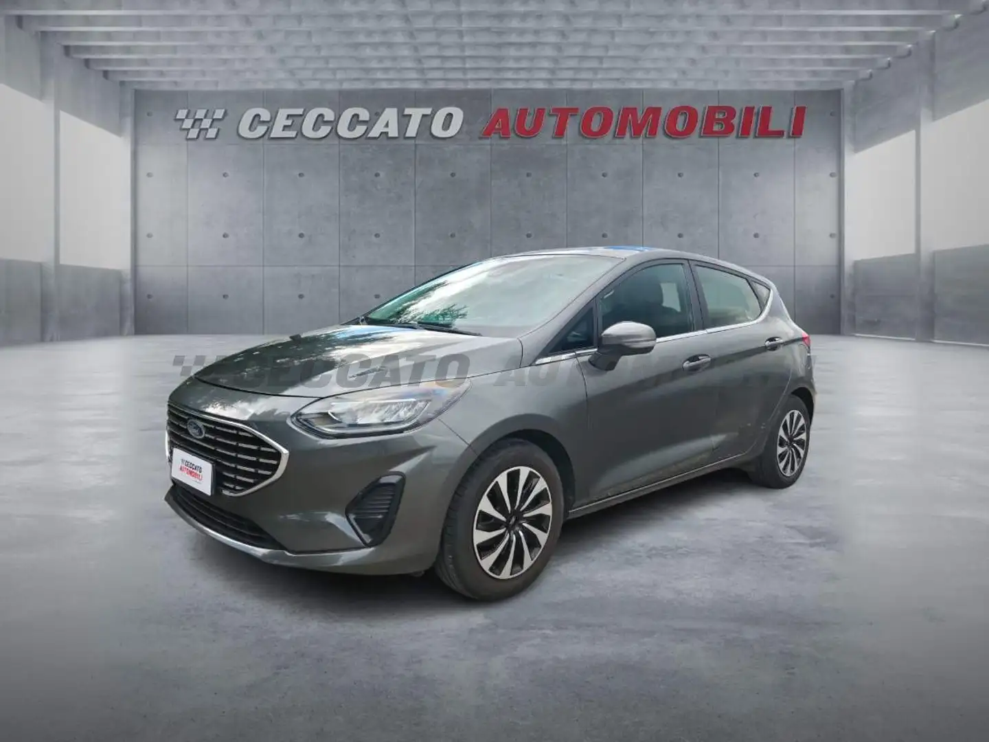 Ford Fiesta Fiesta 5p 1.1 Titanium 75cv Grijs - 1