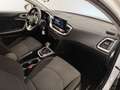 Kia XCeed 1.5 MHEV DCT Drive Blanco - thumbnail 3