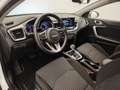 Kia XCeed 1.5 MHEV DCT Drive Blanco - thumbnail 5