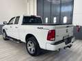Dodge RAM Double cab Bianco - thumbnail 8