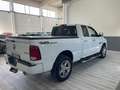 Dodge RAM Double cab Bianco - thumbnail 4