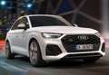 Audi SQ5 TDI quattro tiptronic 251KW Gris - thumbnail 3
