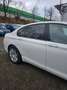 BMW 740 740d,Euro 5,Vollausschtattung. Blanc - thumbnail 8