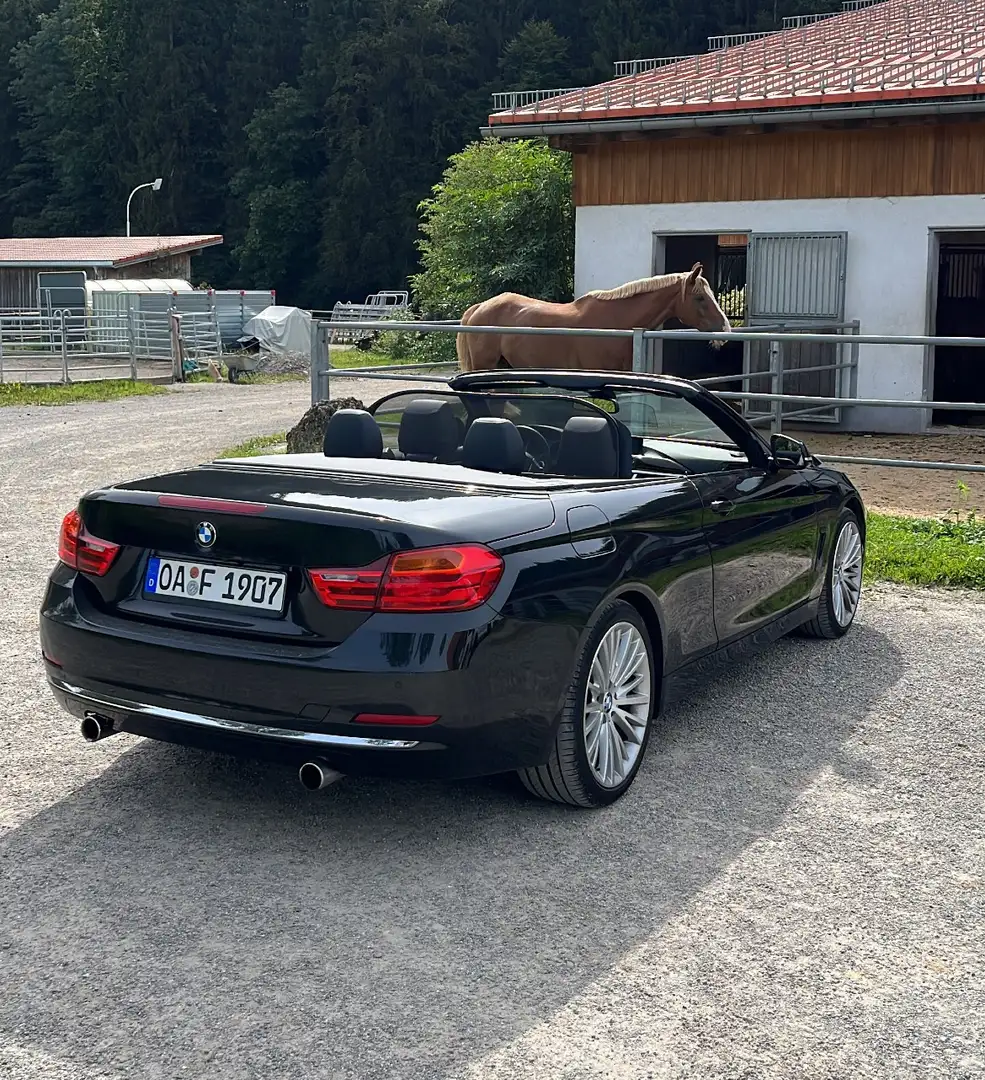 BMW 435 435i Cabrio ( Reifen + Bremsen neu ) Deutsch - 2