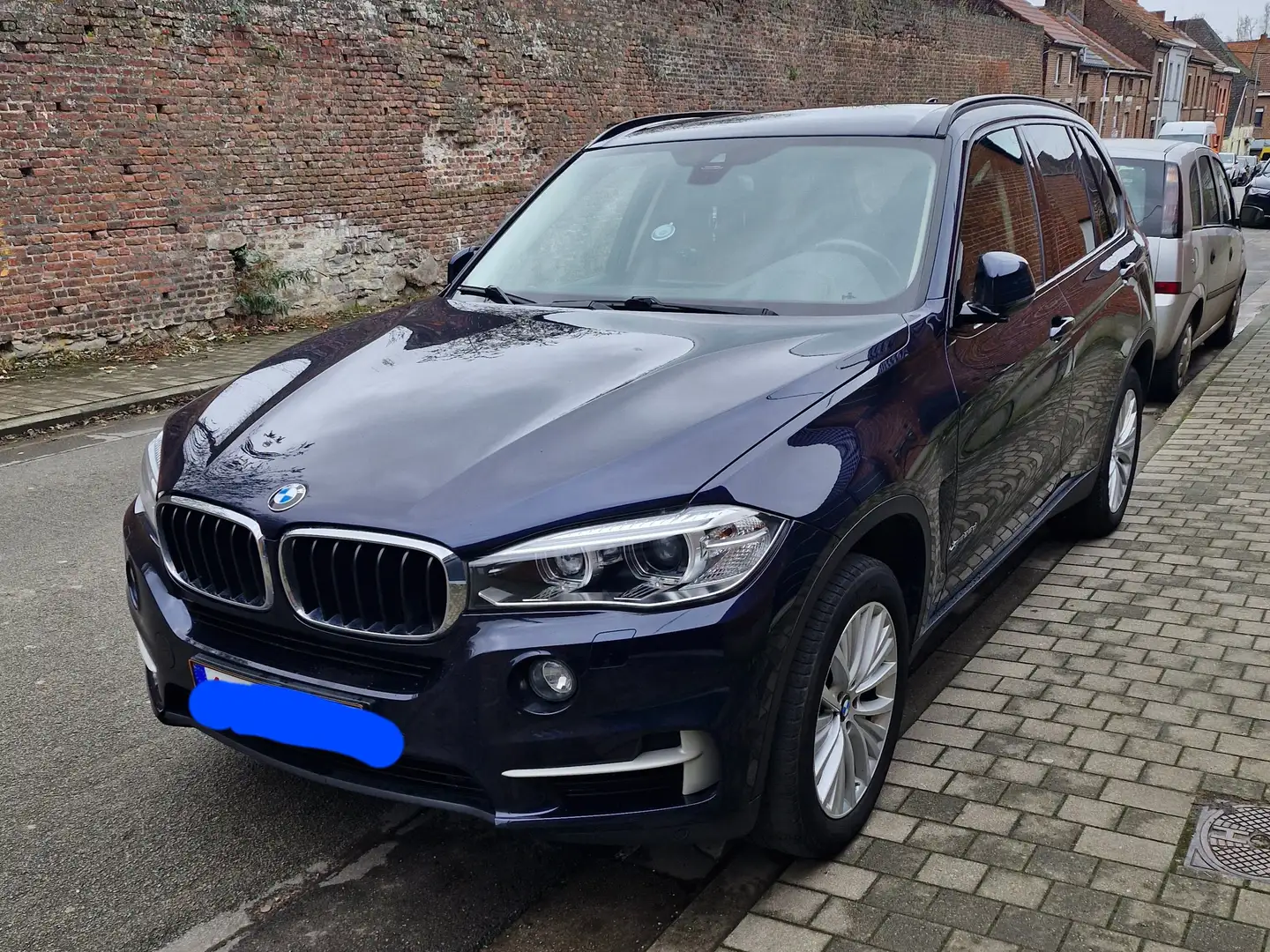 BMW X5 2.0 dA xDrive25 AdBlue Bleu - 1