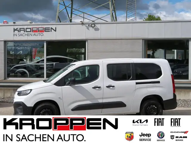 Fiat Sonstige