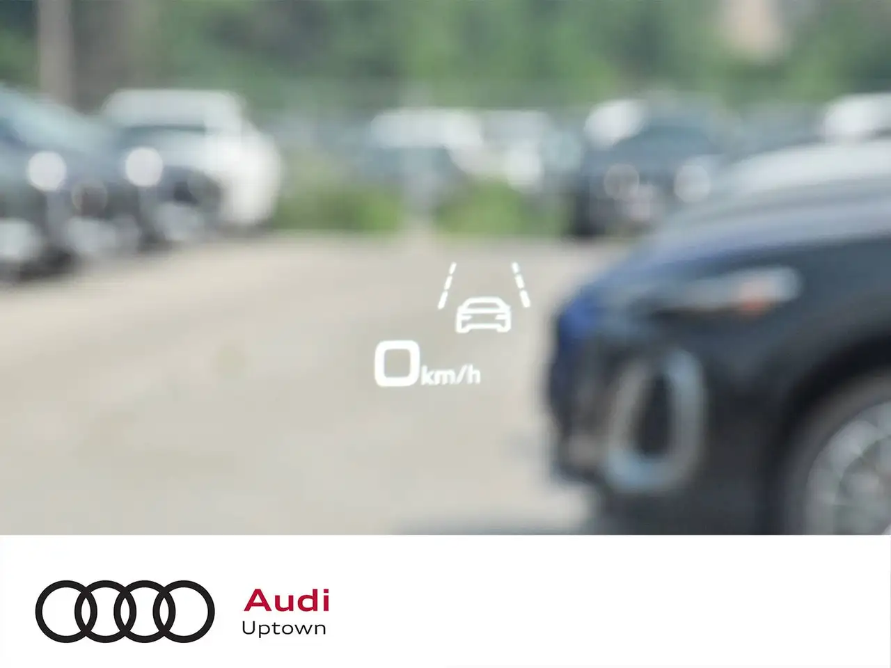 Audi RS Q8 photo Audi RS Q8