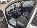 Fiat Panda 1.0 firefly hybrid City Life Bianco - thumbnail 7