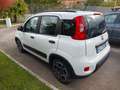 Fiat Panda 1.0 firefly hybrid City Life Bianco - thumbnail 9
