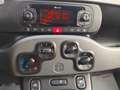 Fiat Panda 1.0 firefly hybrid City Life Bianco - thumbnail 6