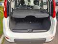 Fiat Panda 1.0 firefly hybrid City Life Bianco - thumbnail 8