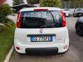 Fiat Panda 1.0 firefly hybrid City Life Bianco - thumbnail 10