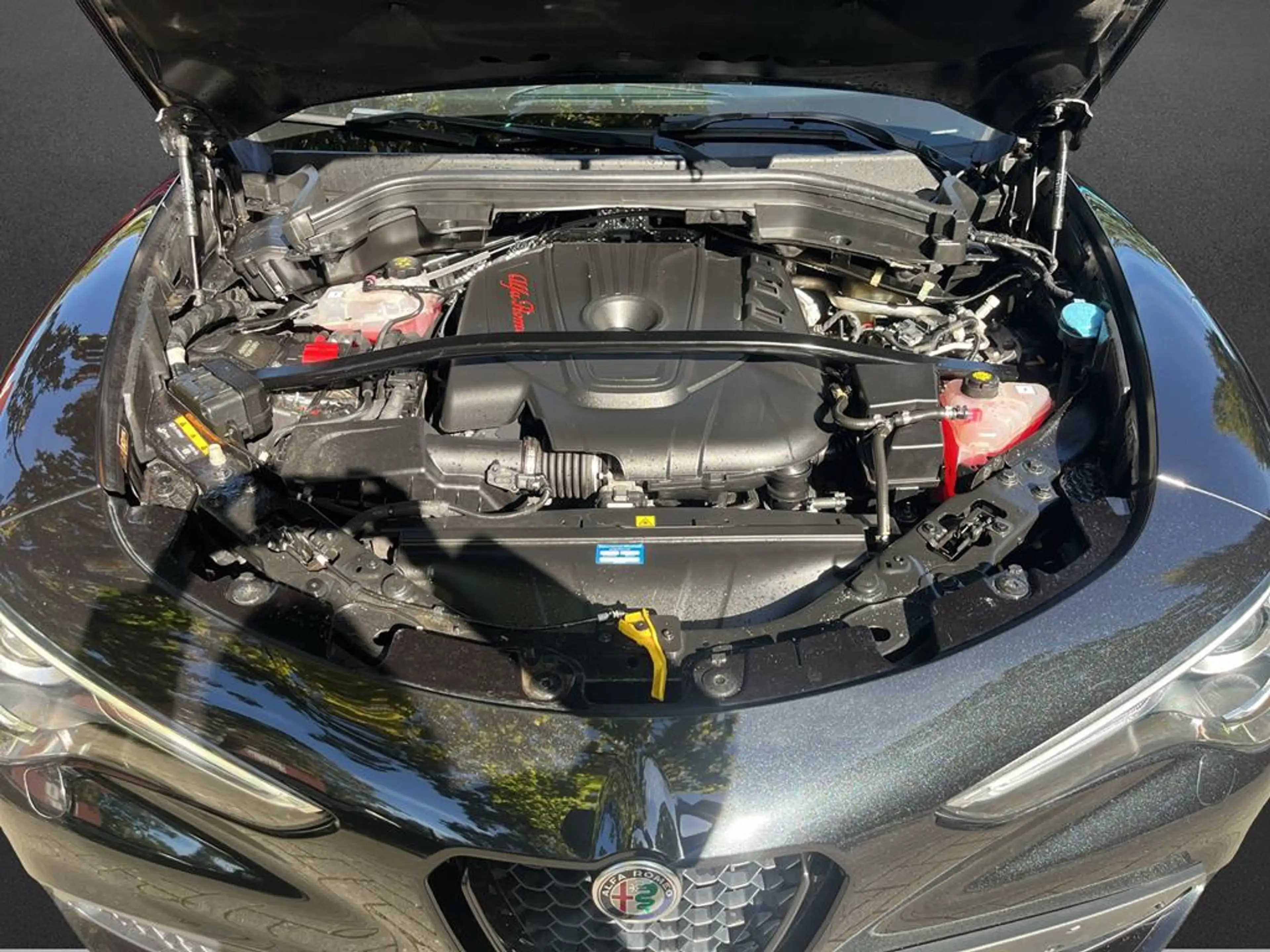 Alfa Romeo Stelvio (630) Veloce Q4 — photo 8