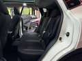 Nissan Qashqai Qashqai II 2017 1.3 140cv Wit - thumbnail 18