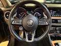 Alfa Romeo Stelvio Stelvio 2.2 210 CV AT8 Q4 "TI" TETTO Zwart - thumbnail 24