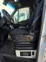 Mercedes-Benz Sprinter sprinter 316 CDI  F 43/35 Bianco - thumbnail 12
