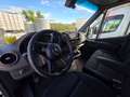 Mercedes-Benz Sprinter sprinter 316 CDI  F 43/35 Bianco - thumbnail 13