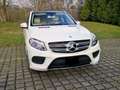 Mercedes-Benz GLE 350 GLE 350 AMG Styling, 1 Hand Blanc - thumbnail 23