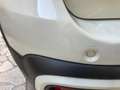 Fiat Panda 1.0 hybrid City Cross s Bianco - thumbnail 7