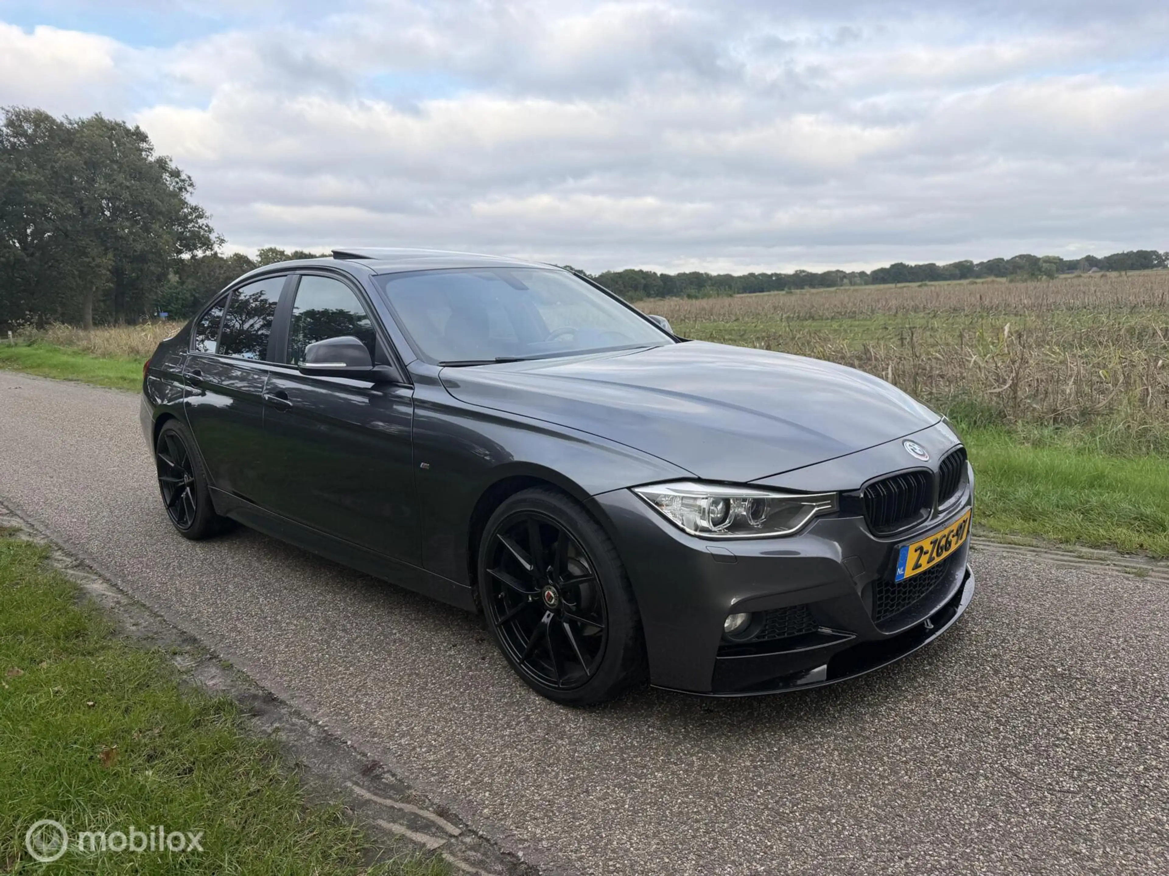 BMW 316 3-serie 316i M Sport Edition High Executive Schuif — photo 5
