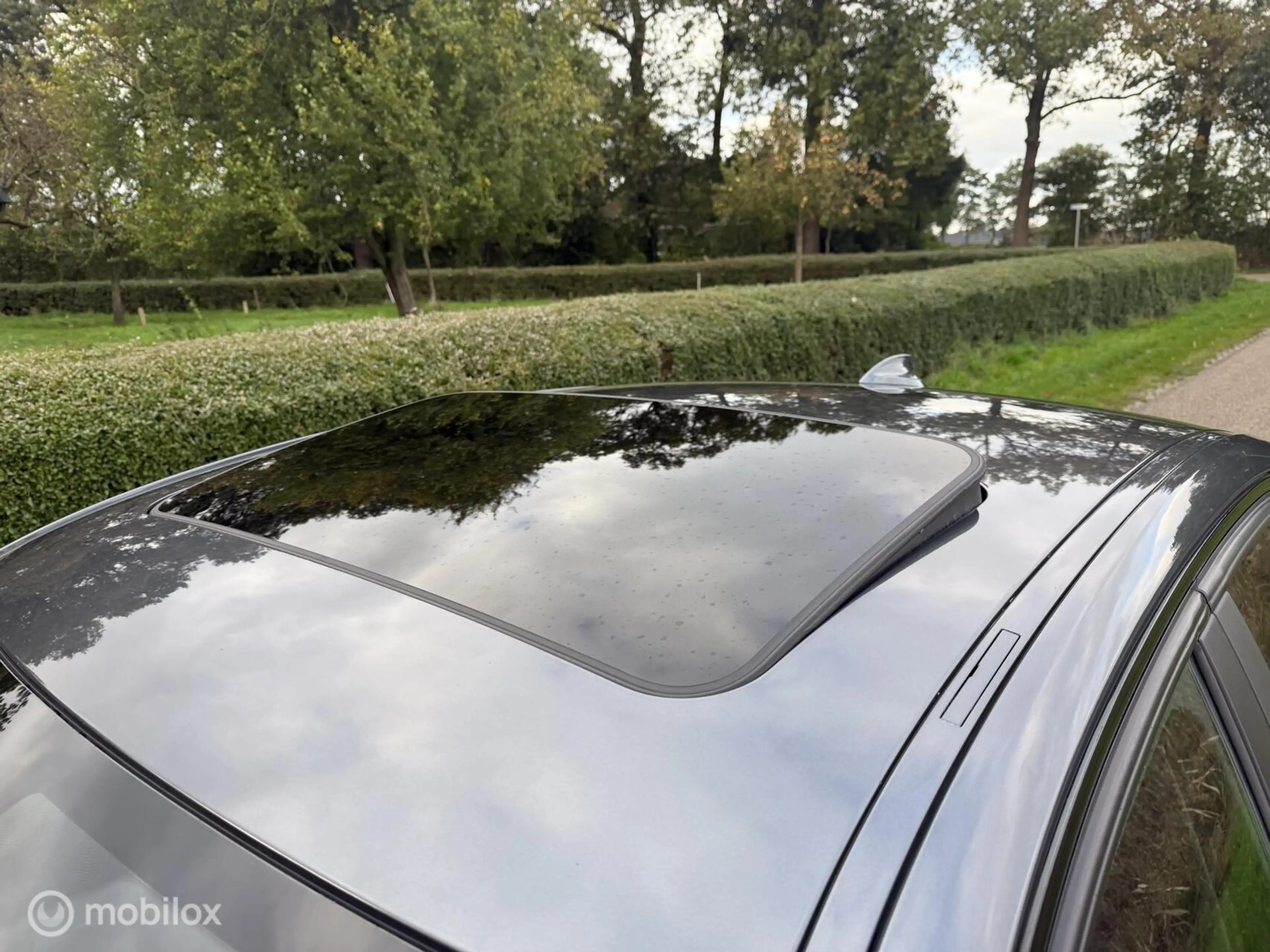 BMW 316 3-serie 316i M Sport Edition High Executive Schuif — photo 7