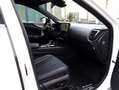 Lexus NX 450h+ AWD F Sport Line | 360 Camera | Stoelventilatie | Wit - thumbnail 10
