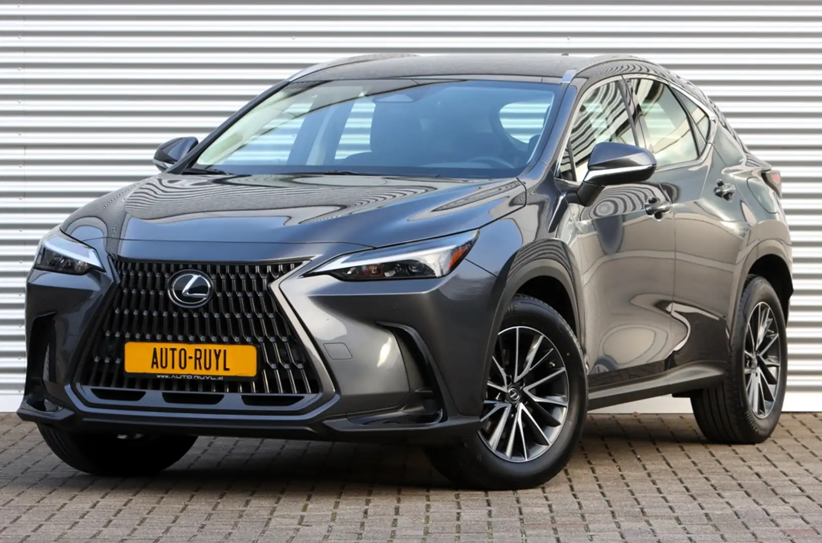 Lexus NX 350 Hybrid / Nieuw model Gri - 1