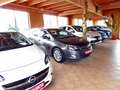 Ford Tourneo Custom 2.2 TDCI 300 L2H1 Trend 9 Sitze Blau - thumbnail 12