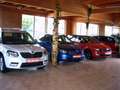 Ford Tourneo Custom 2.2 TDCI 300 L2H1 Trend 9 Sitze Blau - thumbnail 10