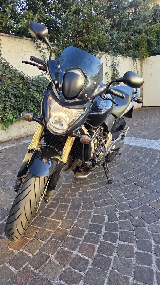 Honda Hornet